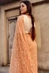 Peach Hansa Tapchi Chikankari Hand Embroidered Women's Saree