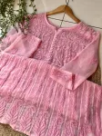 Resham Chikankari Hand Embroidered Women's Yog Anarkali Kurta  - Baby Pink