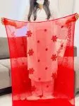 Red Chikankari Aari Dupatta  - Red