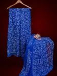Blue Hansa Tapchi Chikankari Hand Embroidered Women's Saree