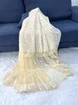 Beige Nirali Half Jaal Chikankari Hand Embroidered Women's Saree